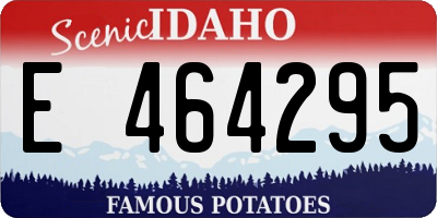 ID license plate E464295