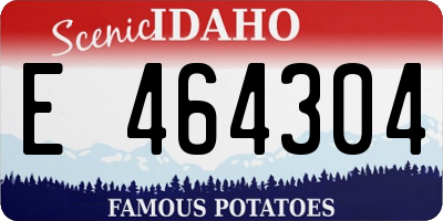 ID license plate E464304