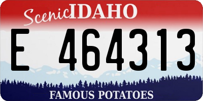 ID license plate E464313