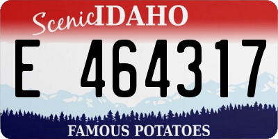 ID license plate E464317