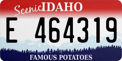ID license plate E464319