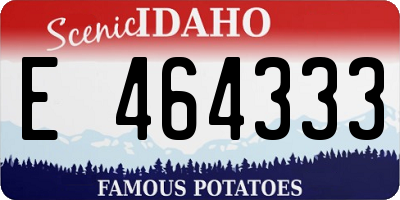 ID license plate E464333