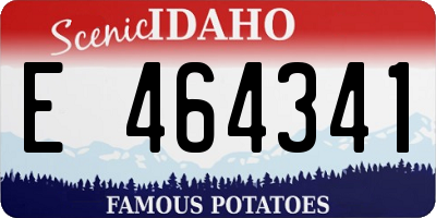 ID license plate E464341