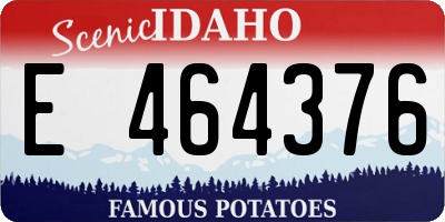ID license plate E464376
