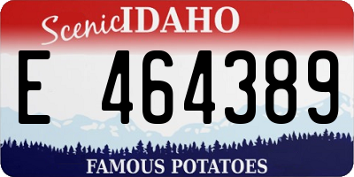 ID license plate E464389