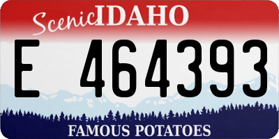 ID license plate E464393