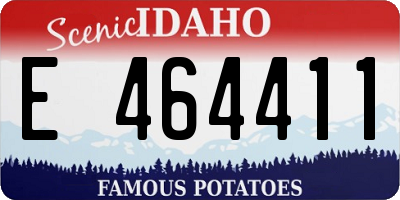 ID license plate E464411