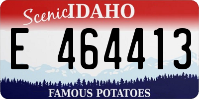 ID license plate E464413