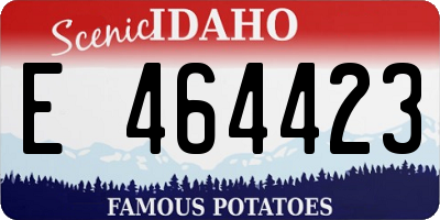 ID license plate E464423