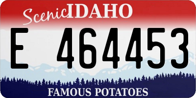 ID license plate E464453