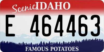 ID license plate E464463