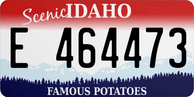 ID license plate E464473