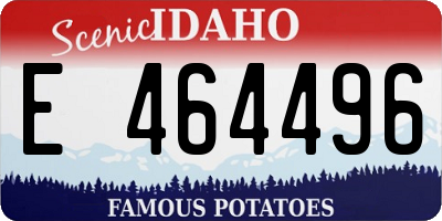 ID license plate E464496
