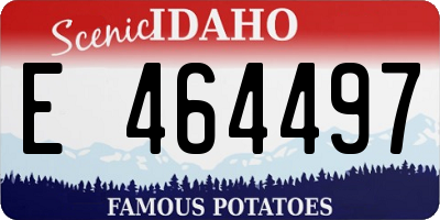 ID license plate E464497