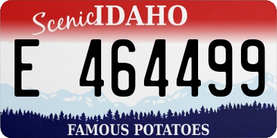ID license plate E464499