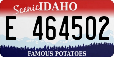 ID license plate E464502