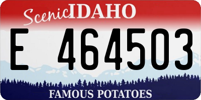 ID license plate E464503