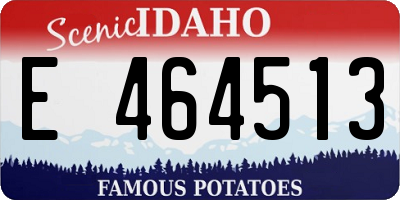 ID license plate E464513