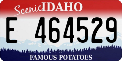 ID license plate E464529