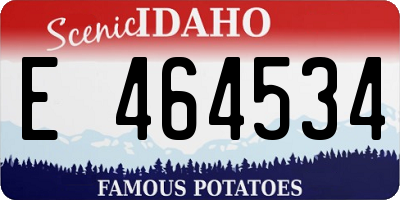 ID license plate E464534