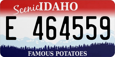 ID license plate E464559