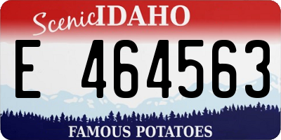 ID license plate E464563