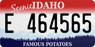 ID license plate E464565