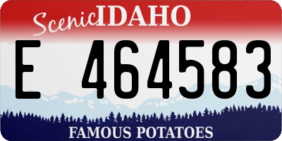 ID license plate E464583