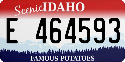 ID license plate E464593