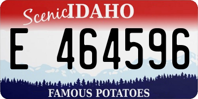 ID license plate E464596