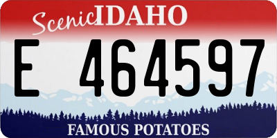 ID license plate E464597