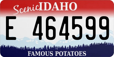 ID license plate E464599