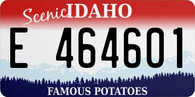 ID license plate E464601