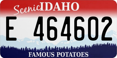 ID license plate E464602