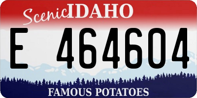 ID license plate E464604