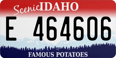 ID license plate E464606