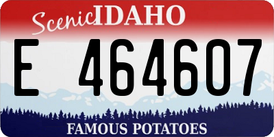 ID license plate E464607