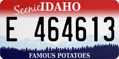 ID license plate E464613
