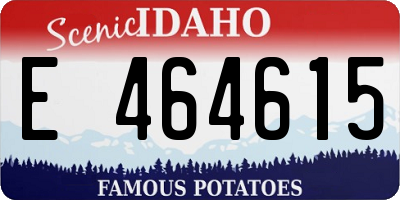 ID license plate E464615