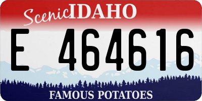 ID license plate E464616