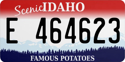 ID license plate E464623