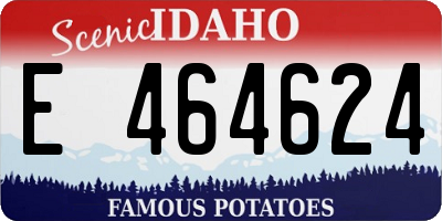 ID license plate E464624