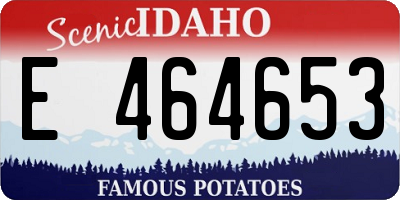 ID license plate E464653