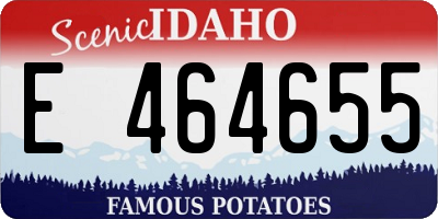 ID license plate E464655