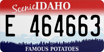 ID license plate E464663