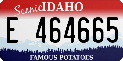 ID license plate E464665