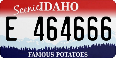 ID license plate E464666