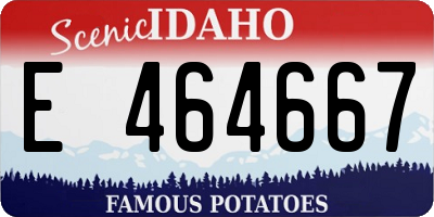 ID license plate E464667