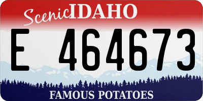ID license plate E464673