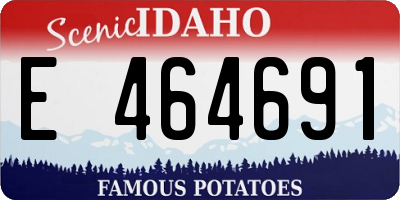 ID license plate E464691